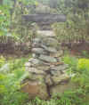 jardin2.jpg (61656 octets)